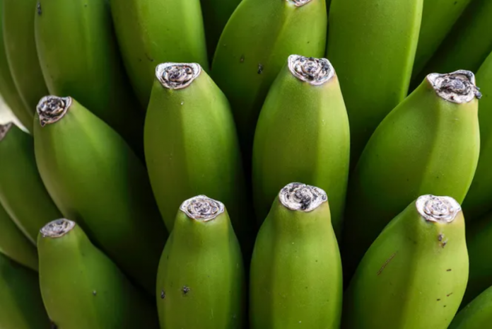 Експерти розповіли, чим корисні банани