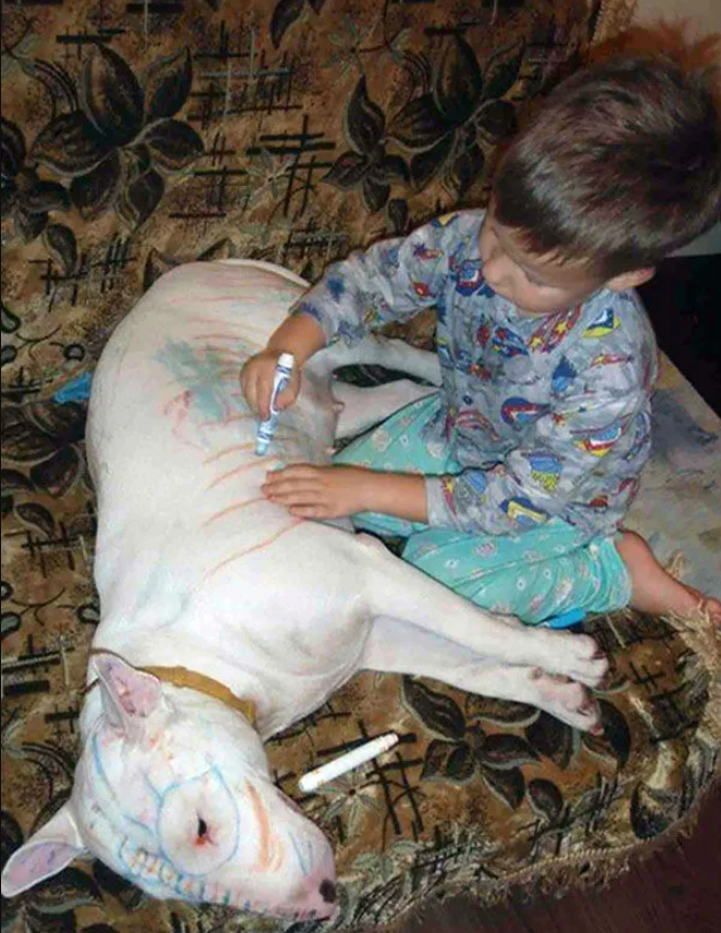 "Фотофакти": чому не варто залишати дітей наодинці з тваринами
