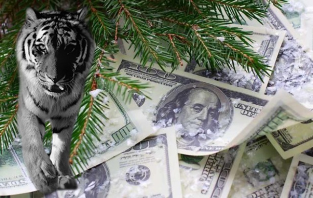 Як успішно інвестувати гроші: астропрогноз на рік Тигра по місяцях