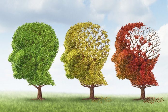 Експерти надали 3 поради, як запобігти старінню мозку