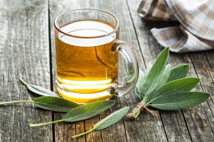 Свіже дихання та контроль цукру: чим ще корисний чай із шавлії