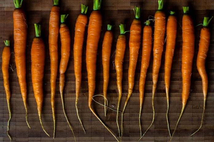 Який ґрунт для моркви кращий