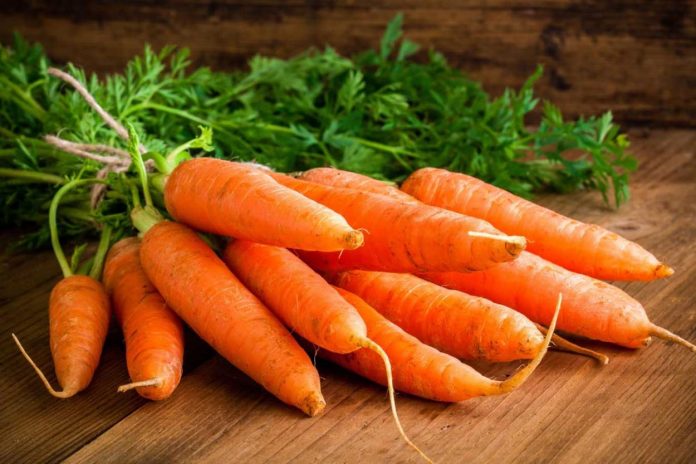 Як без варіння швидко довести моркву до стану, щоб нарізати для салату