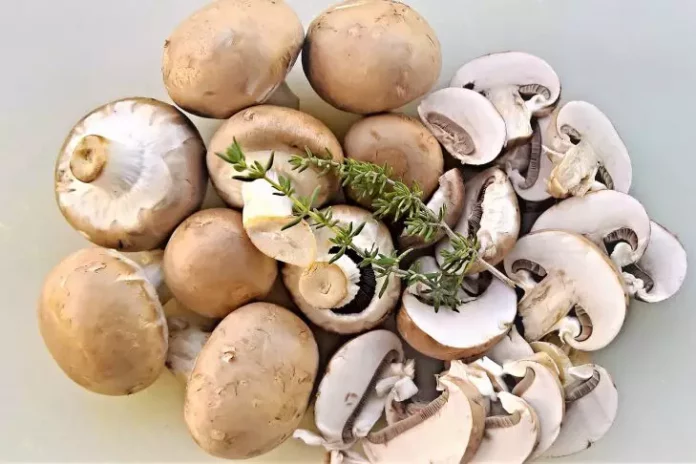 Як правильно нарізати гриби для супу