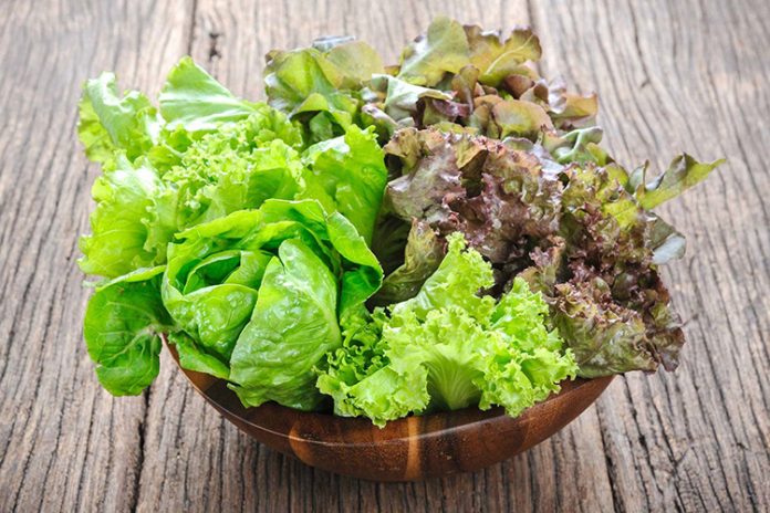 Що зробити із зеленим салатом перед готуванням, щоб видалити з нього всіх комах