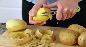 Які види органічних відходів підійдуть для приготування компосту у квартирі: жодних продуктів тваринного походження
