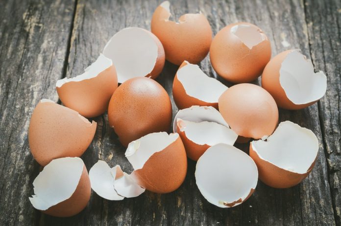 Експерти розповіли, чи є сенс використовувати яєчну шкаралупу на городі