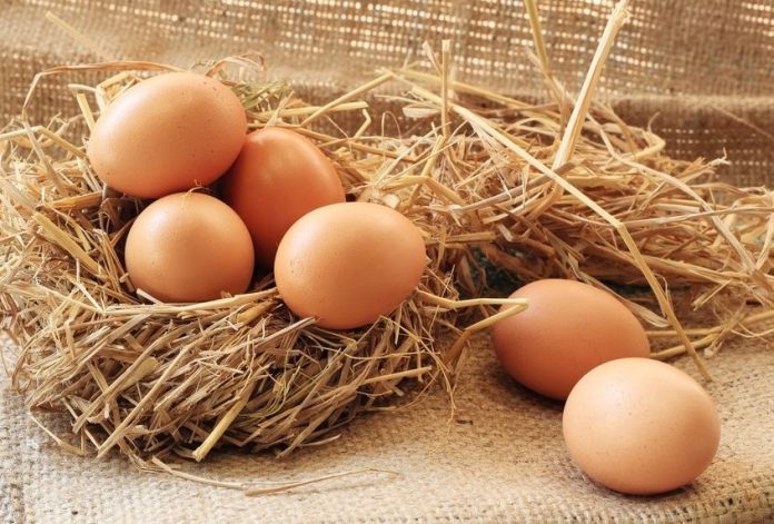 Як розбити курячі яйця правильно: більшість господинь роблять цю помилку