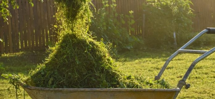 5 способів застосування скошеної трави на дачі