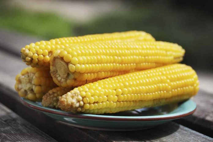 Як правильно варити кукурудзу, щоб вона була м'якою та соковитою: 5 секретів