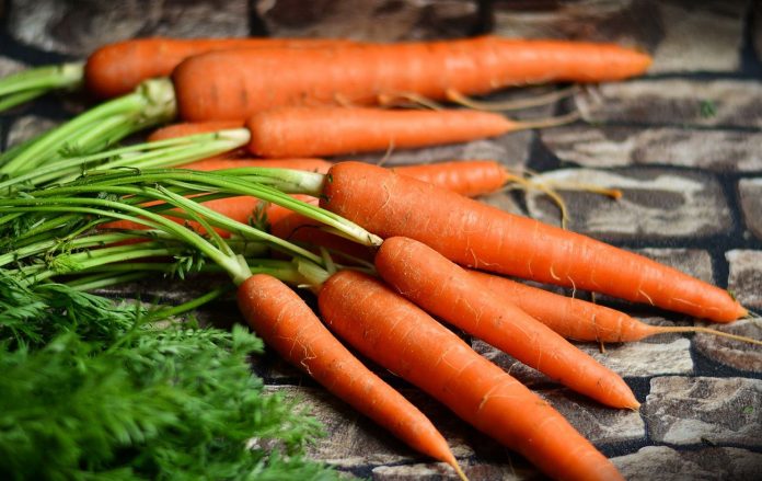2 способи зберігання моркви на зиму в глині
