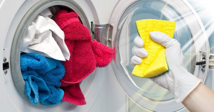 Як видалити шерсть тварин з одягу під час прання: перевірений спосіб