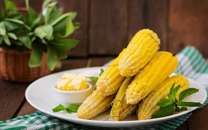 Як зберегти соковитість відвареної кукурудзи: названі основні секрети