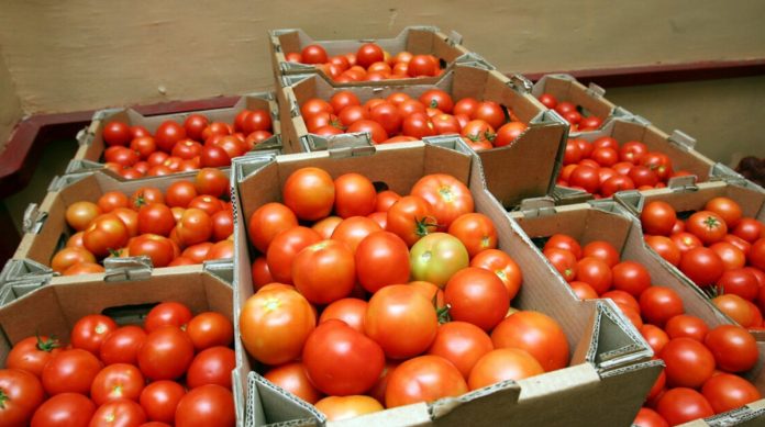 Зірвали помідори зарано: 3 простих способи, щоб помідори дозріли