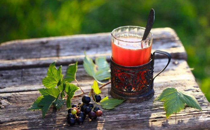 Як правильно заготовити смородинове листя для заварювання ароматного і корисного чаю