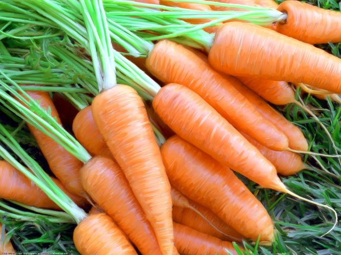 Цікавий спосіб, як посіяти моркву