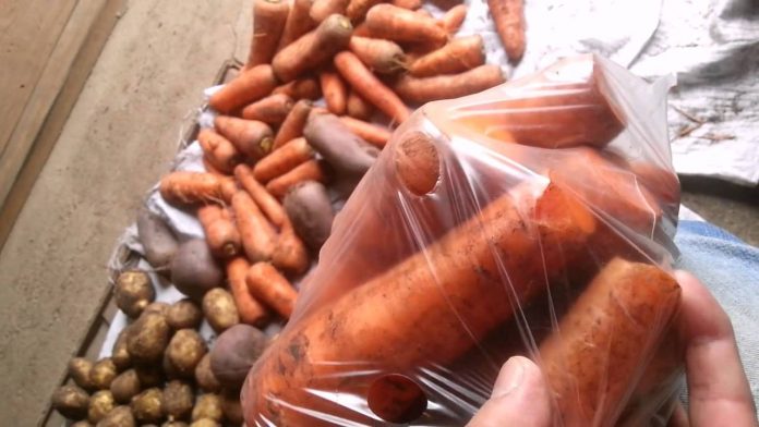 Зберігання моркви