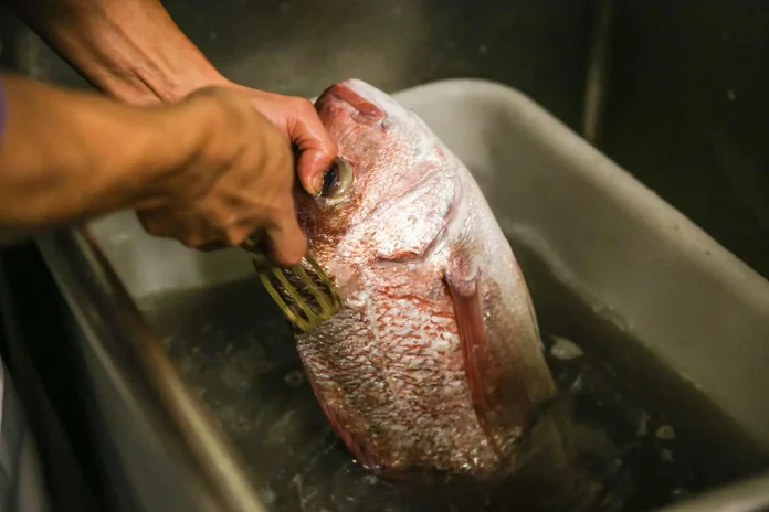 Як швидко почистити рибну луску: спосіб застосовують у ресторанах