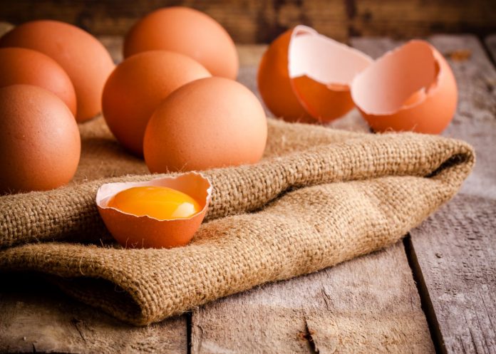 Що робити, якщо кури почали їсти яйця