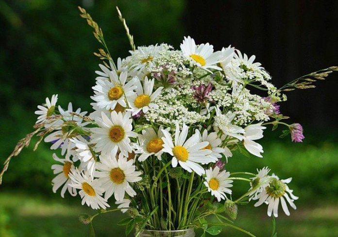 Як зберегти свіжість квітів у вазі: корисні поради