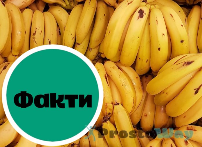 7 фактів про банани, які ви точно не знали
