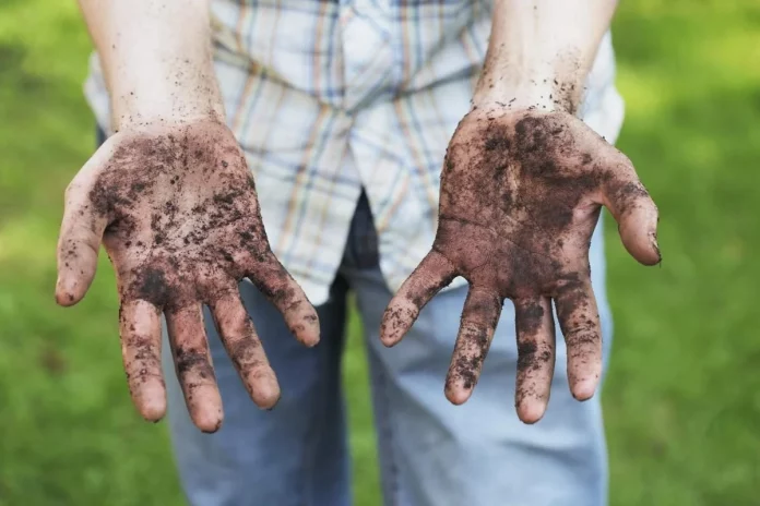 Як відмити руки після того, як посадили розсаду