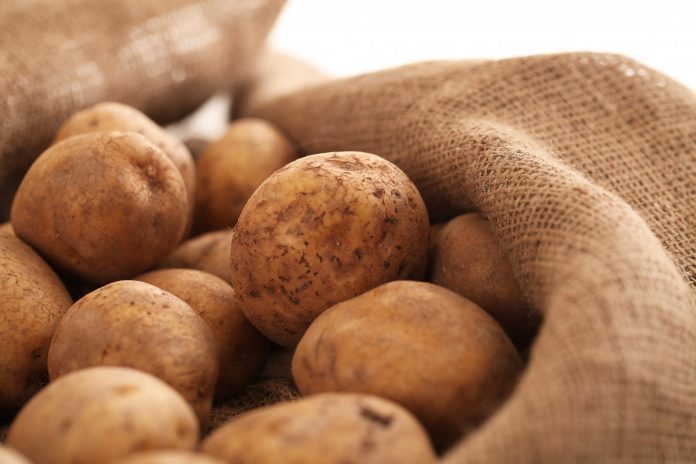 Які овочі категорично не можна зберігати з картоплею