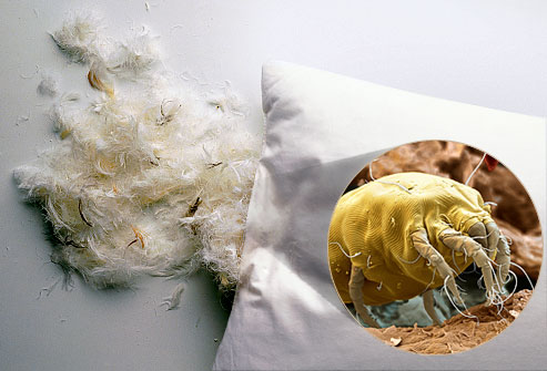 Як освіжити подушку без прання для комфортного спання