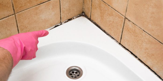 Як позбутися цвілі у ванній кімнаті: перевірений дієвий спосіб