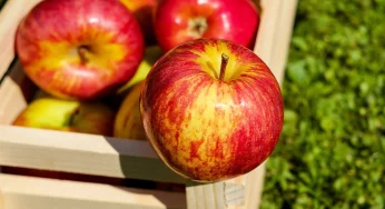 8 продуктів, які пригнічують апетит