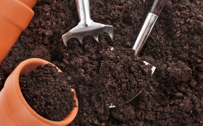 Чим удобрити ґрунт перед висіванням розсади: дачникам на замітку