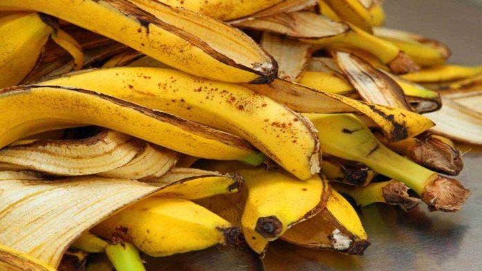 Городники розповіли, як зробити добриво з бананових шкірок