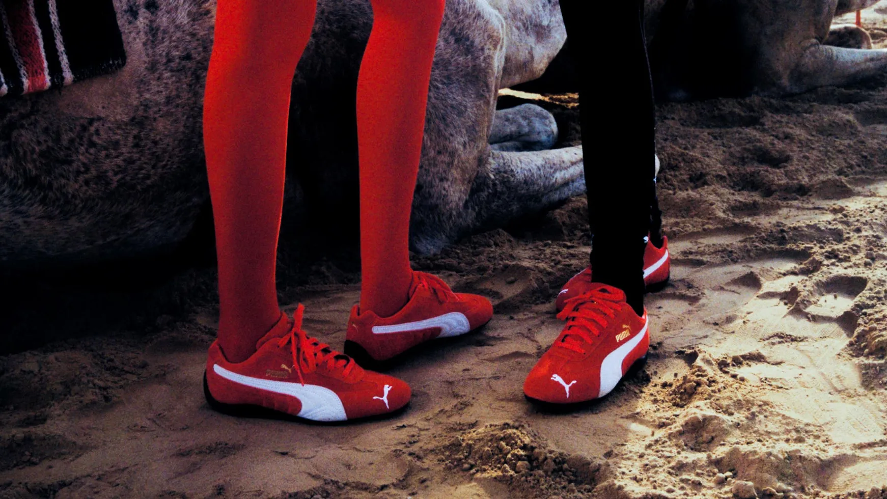 Кросівки Puma Speedcat